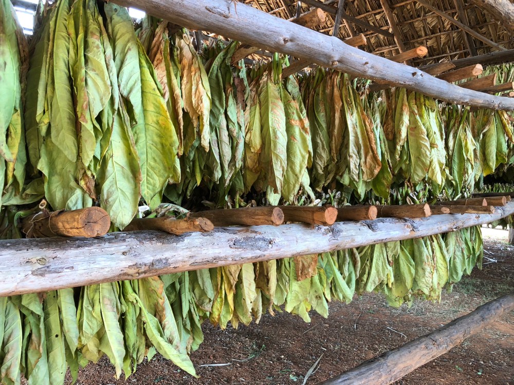 gBmXsfqMTVCsdEcI5elHiA